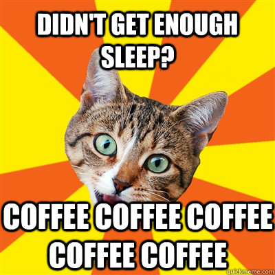 didn't get enough sleep? coffee coffee coffee coffee coffee  Bad Advice Cat