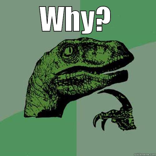 The Ultimate question - WHY?  Philosoraptor