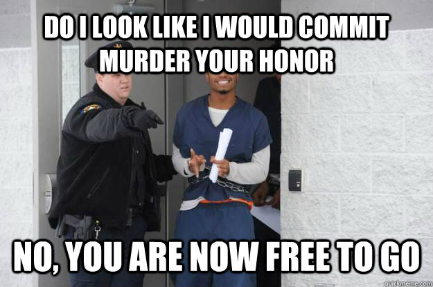 Do I look like I would commit murder your honor no, you are now free to go  Ridiculously Photogenic Prisoner