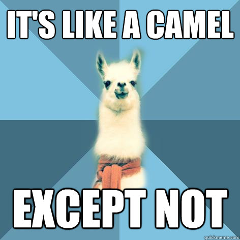 It's like a camel Except not  Linguist Llama