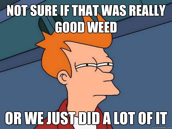 Not sure if that was really good weed Or we just did a lot of it - Not sure if that was really good weed Or we just did a lot of it  Futurama Fry