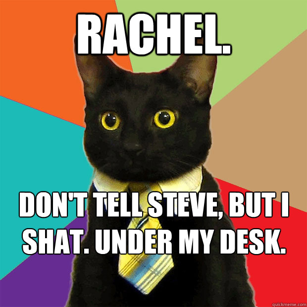 rachel. don't tell steve, but i shat. under my desk.  Business Cat