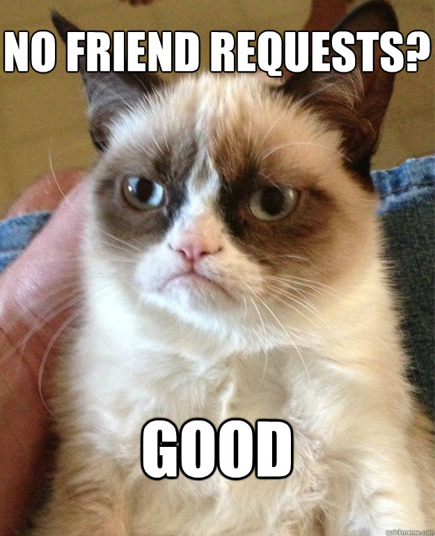 NO FRIEND REQUESTS? GOOD  Grumpy Cat