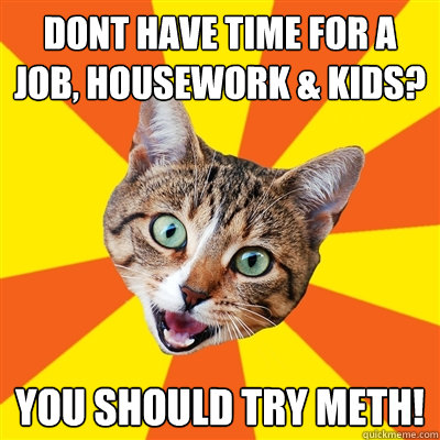 Dont have time for a job, housework & kids? You should try meth!  Bad Advice Cat