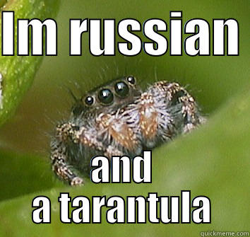 IM RUSSIAN  AND A TARANTULA Misunderstood Spider