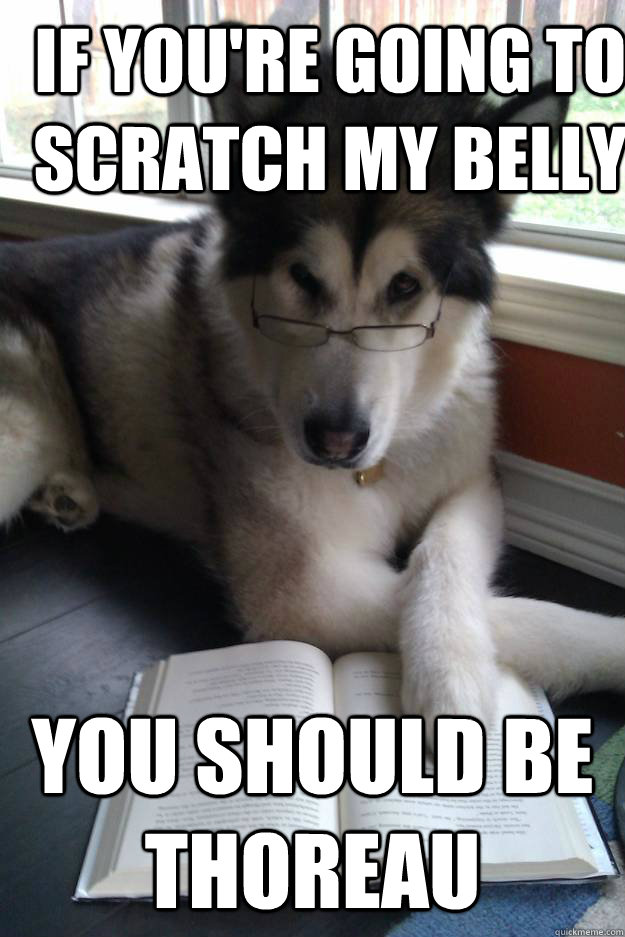 If you're going to scratch my belly You should be thoreau  Condescending Literary Pun Dog