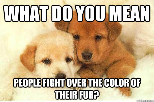 What do you mean People fight over the color of their fur?  