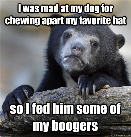 I was mad at my dog for chewing apart my favorite hat so I fed him some of my boogers - I was mad at my dog for chewing apart my favorite hat so I fed him some of my boogers  Confession Bear