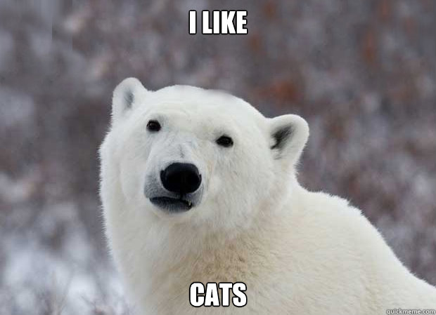 I like cats  Popular Opinion Polar Bear