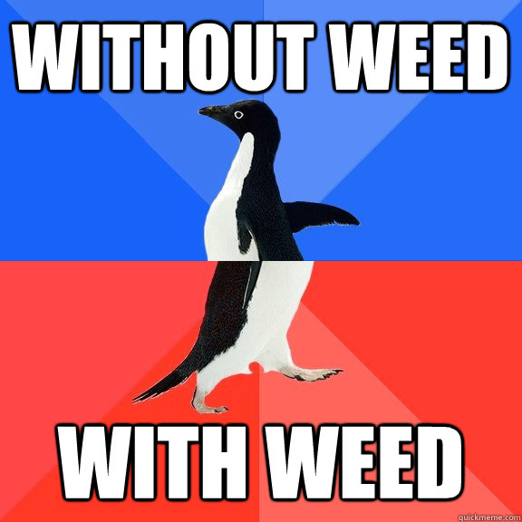 Without weed with weed  Socially Awkward Awesome Penguin