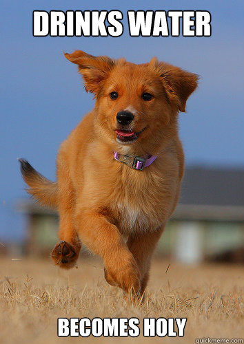 Drinks water becomes holy  Ridiculously Photogenic Puppy