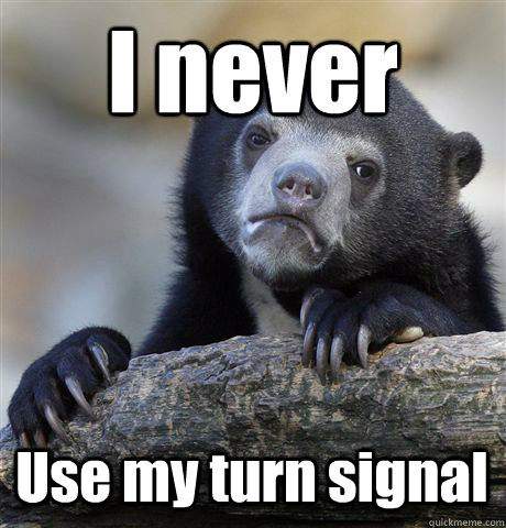 I never Use my turn signal - I never Use my turn signal  Confession Bear