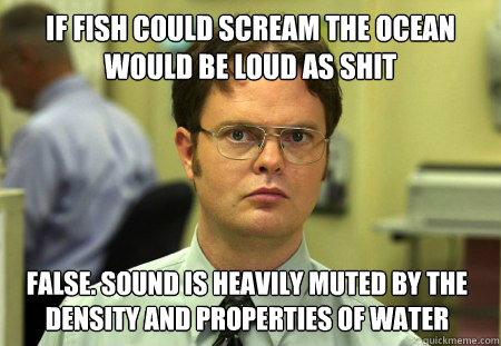 If fish could scream the ocean would be loud as shit False. SOUND is heavily muted by the density and properties of water  Dwight