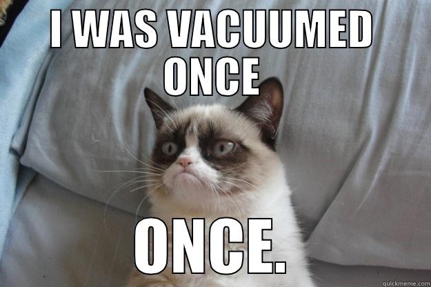 vacuum cat - I WAS VACUUMED ONCE ONCE. Grumpy Cat