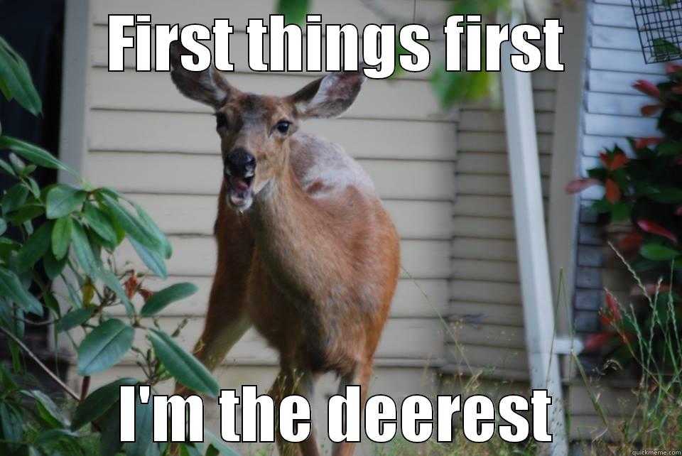 Don't give a Damn Deer - FIRST THINGS FIRST I'M THE DEEREST Misc