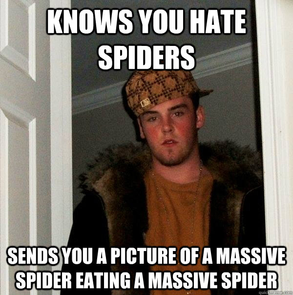 Knows you hate spiders sends you a picture of a massive spider eating a massive spider  Scumbag Steve