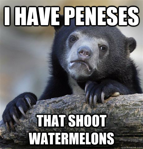 i have peneses that shoot watermelons  Confession Bear