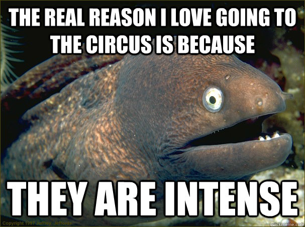 The real reason I love going to the circus is because they are intense  Bad Joke Eel