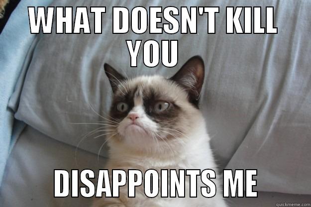 WHAT DOESN'T KILL YOU        DISAPPOINTS ME       Grumpy Cat