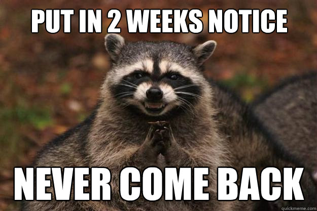 Put in 2 weeks notice never come back - Put in 2 weeks notice never come back  Evil Plotting Raccoon