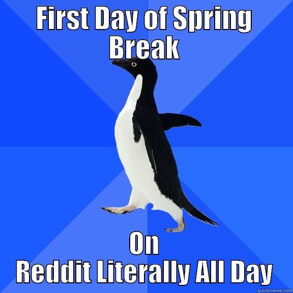 WTF do you want, title box - FIRST DAY OF SPRING BREAK ON REDDIT LITERALLY ALL DAY Socially Awkward Penguin