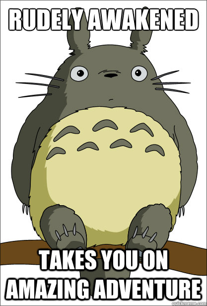 rudely awakened takes you on amazing adventure  Good Guy Totoro