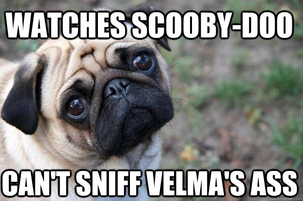 watches scooby-doo can't sniff velma's ass  First World Dog problems