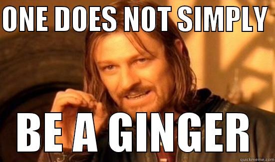 ONE DOES NOT SIMPLY  BE A GINGER Boromir