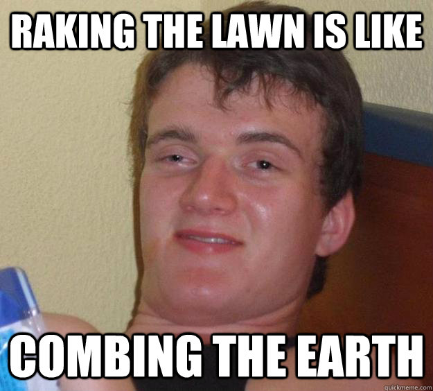 Raking the Lawn is like combing the earth  10 Guy