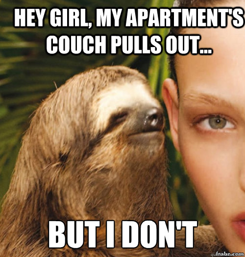 hey girl, my apartment's couch pulls out... but i don't  rape sloth