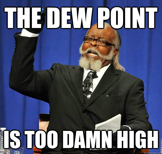 The dew point Is too damn high  Jimmy McMillan