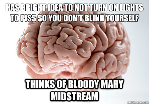 Has bright idea to not turn on lights to piss so you don't blind yourself Thinks of bloody Mary midstream  Scumbag Brain