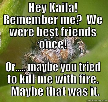 HEY KAILA! REMEMBER ME?  WE WERE BEST FRIENDS ONCE! OR..... MAYBE YOU TRIED TO KILL ME WITH FIRE.   MAYBE THAT WAS IT. Misunderstood Spider