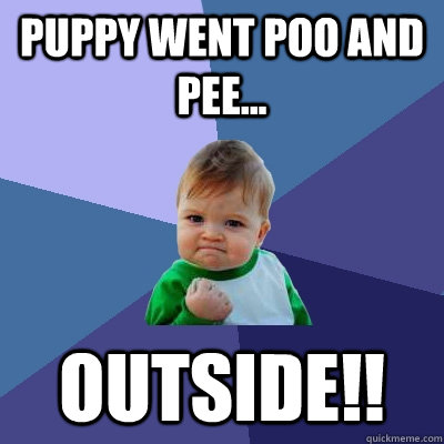 Puppy went poo and pee... outside!!  Success Kid