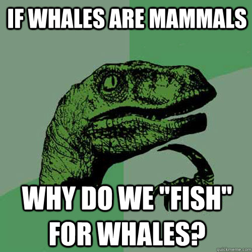 If Whales are mammals Why do we 