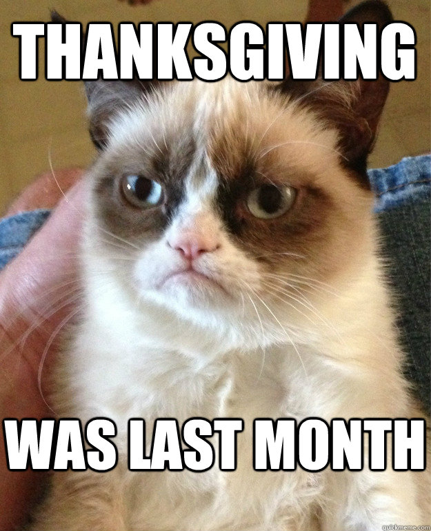 Thanksgiving was last month   Grumpy Cat