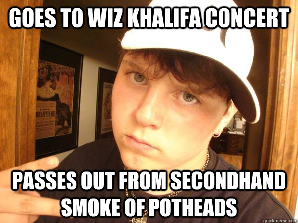 goes to wiz khalifa concert passes out from secondhand smoke of potheads  Suburban Gangster