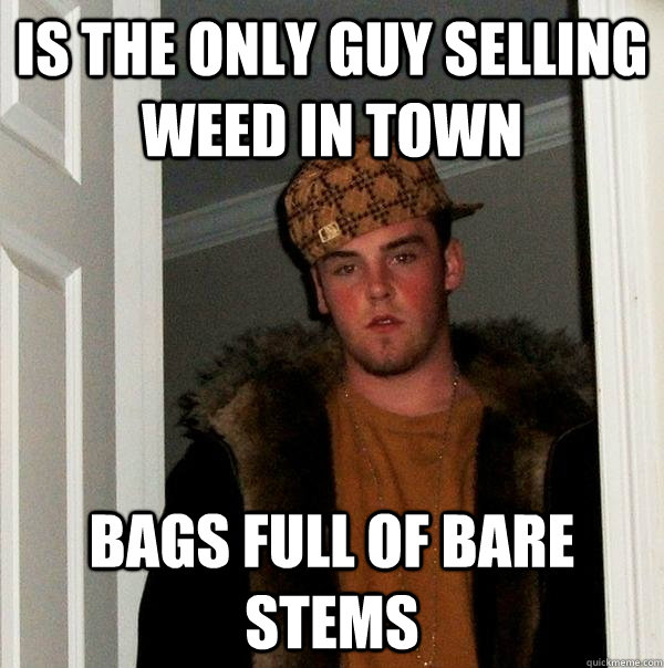 Is the only guy selling weed in town Bags full of bare stems  Scumbag Steve