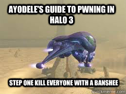 Ayodele's Guide to pwning in halo 3 Step one kill everyone with a banshee - Ayodele's Guide to pwning in halo 3 Step one kill everyone with a banshee  Misc