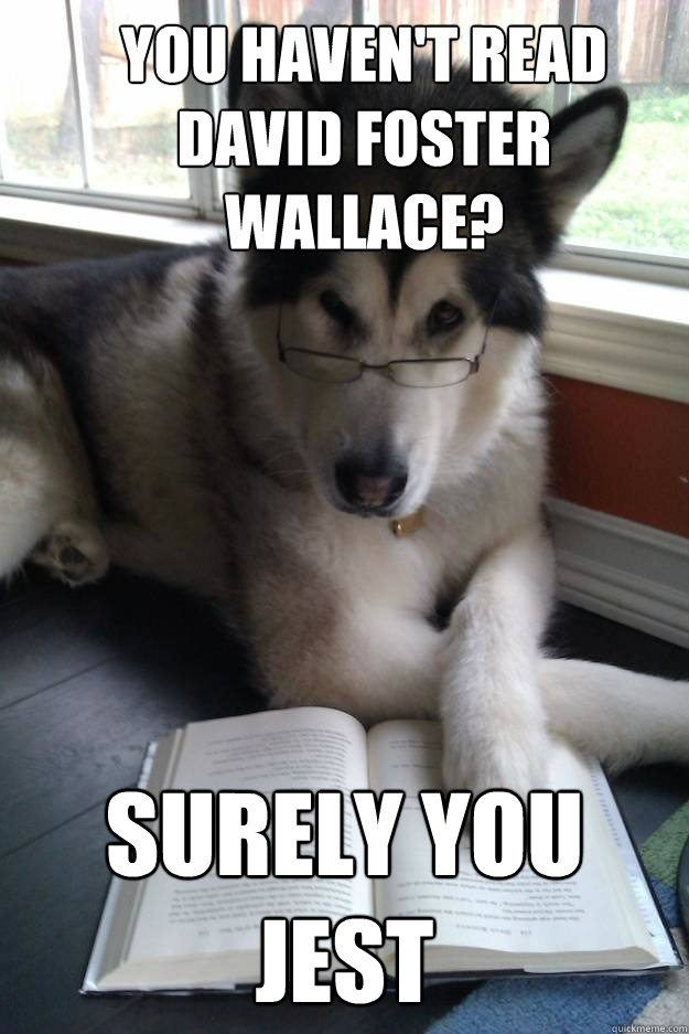 You Haven't Read David Foster Wallace? Surely You Jest  Condescending Literary Pun Dog