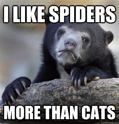 I like spiders more than cats  Confession Bear