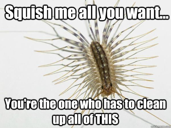 Squish me all you want... You're the one who has to clean up all of THIS  House Centipede