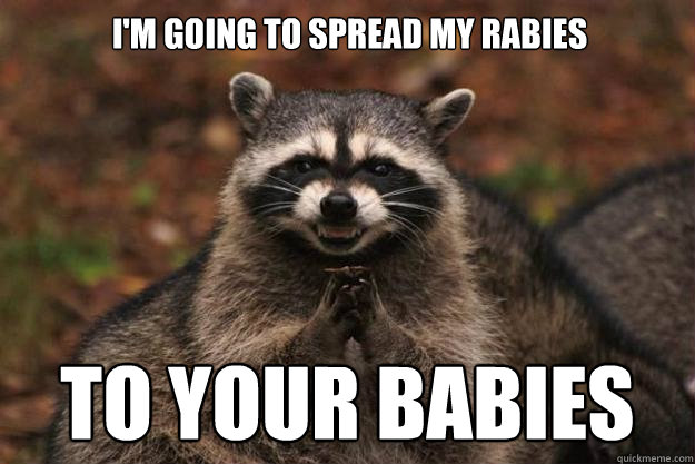 i'm going to spread my rabies to your babies  Evil Plotting Raccoon