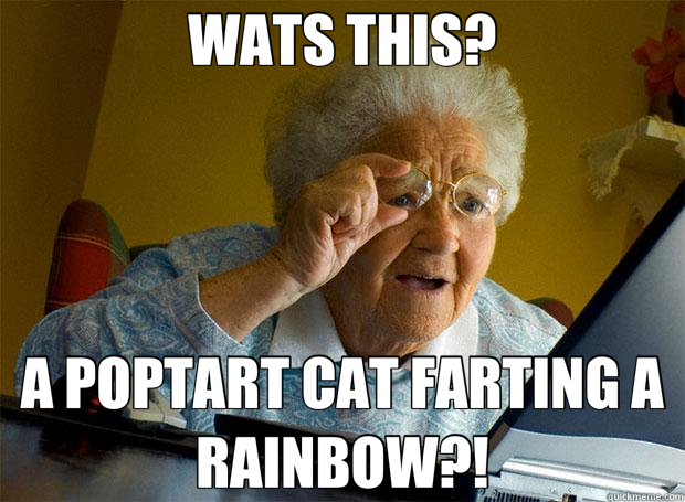 WATS THIS? A POPTART CAT FARTING A RAINBOW?!  Grandma finds the Internet