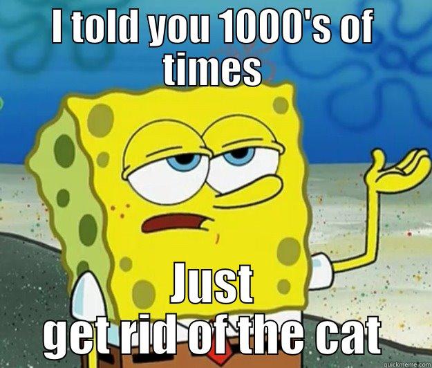 Spongebob is right for once - I TOLD YOU 1000'S OF TIMES JUST GET RID OF THE CAT Tough Spongebob