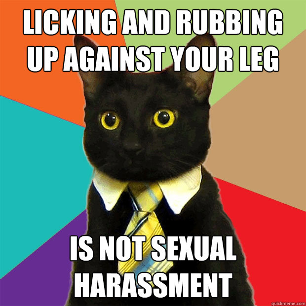 licking and rubbing up against your leg is not sexual harassment  Business Cat