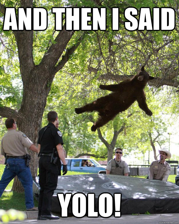 AND THEn I said yolo! - AND THEn I said yolo!  beardontcare