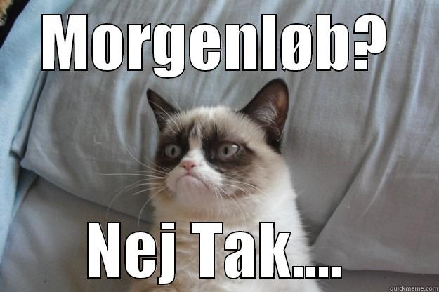 MORGENLØB? NEJ TAK.... Grumpy Cat