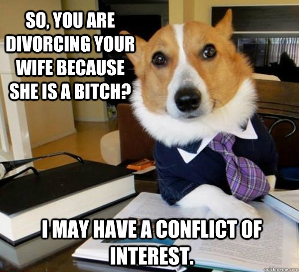 So, you are divorcing your wife because she is a bitch? I may have a conflict of interest.  Lawyer Dog