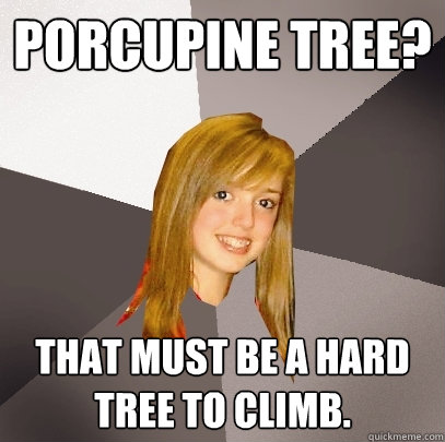 Porcupine Tree? That must be a hard tree to climb.  Musically Oblivious 8th Grader